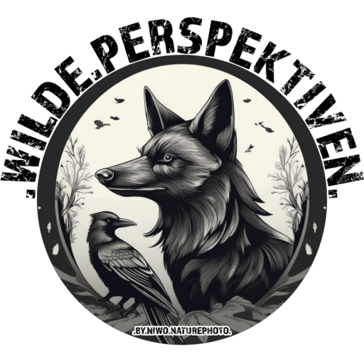 NiWo-photography I NiWo-naturephoto