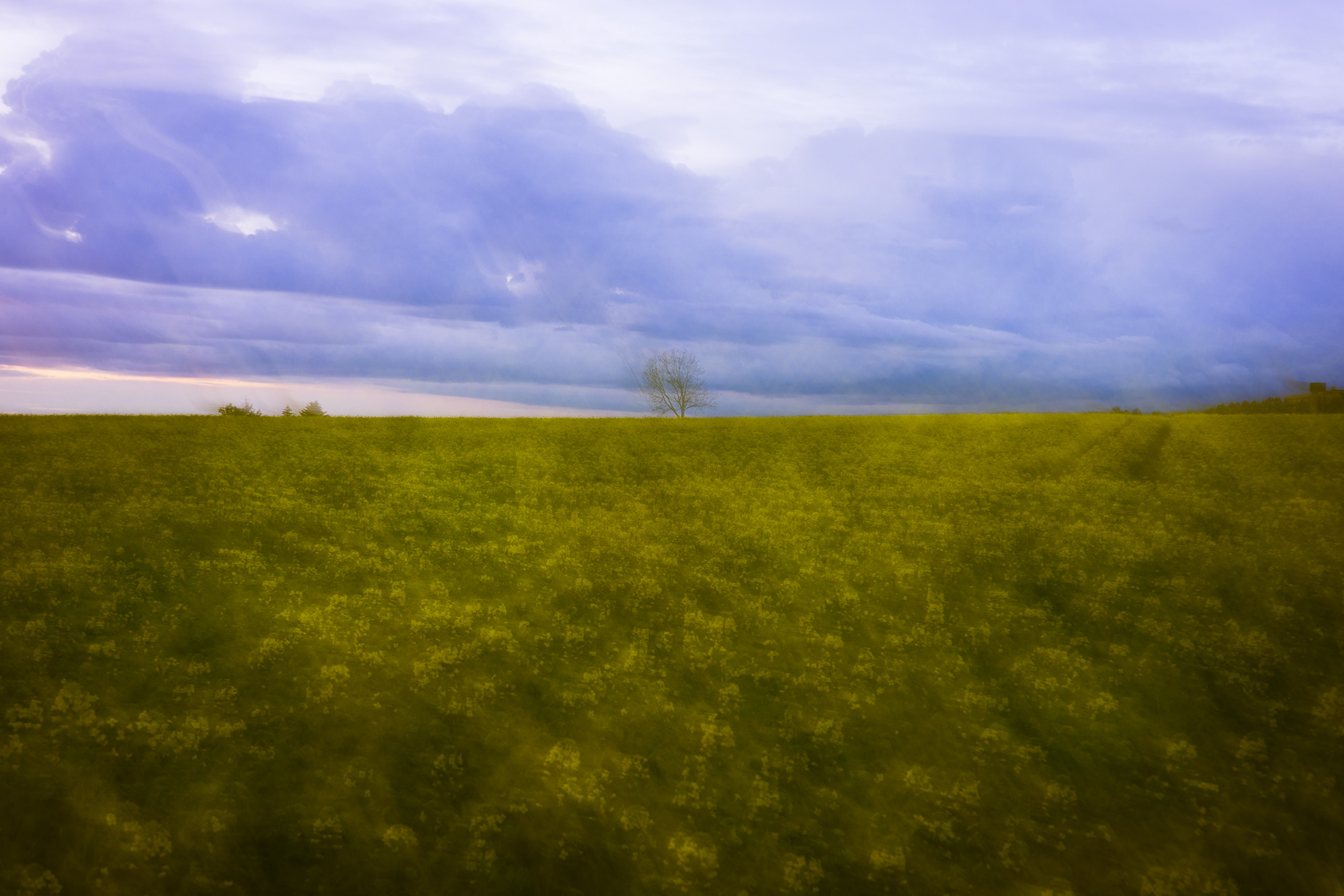 Rapsfeld in Landschaft mit kreativer ICM Technik