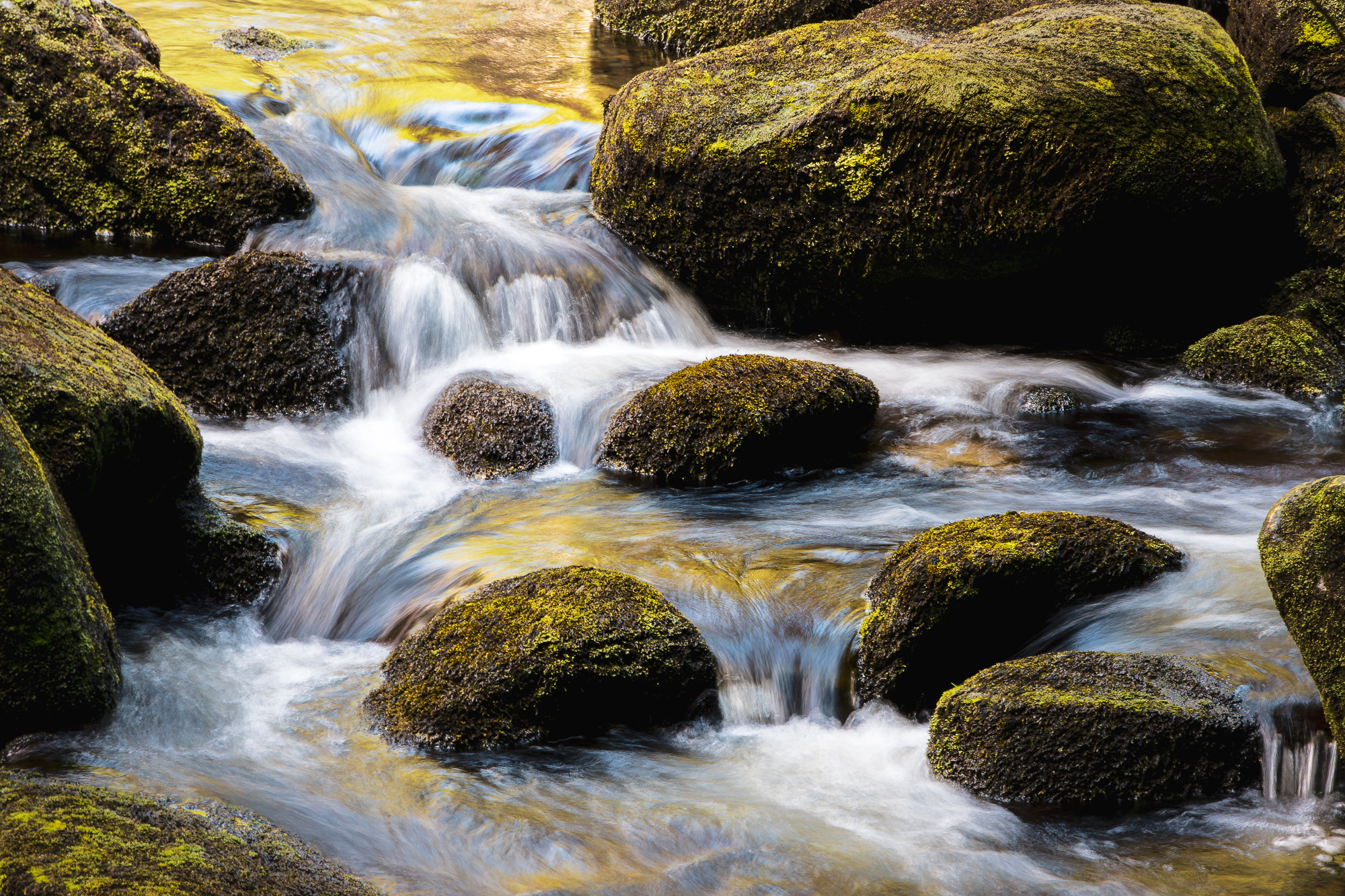 Fließendes Wasser über moosbedeckten Steinen in einem Bach – dynamische Landschaftsaufnahme.