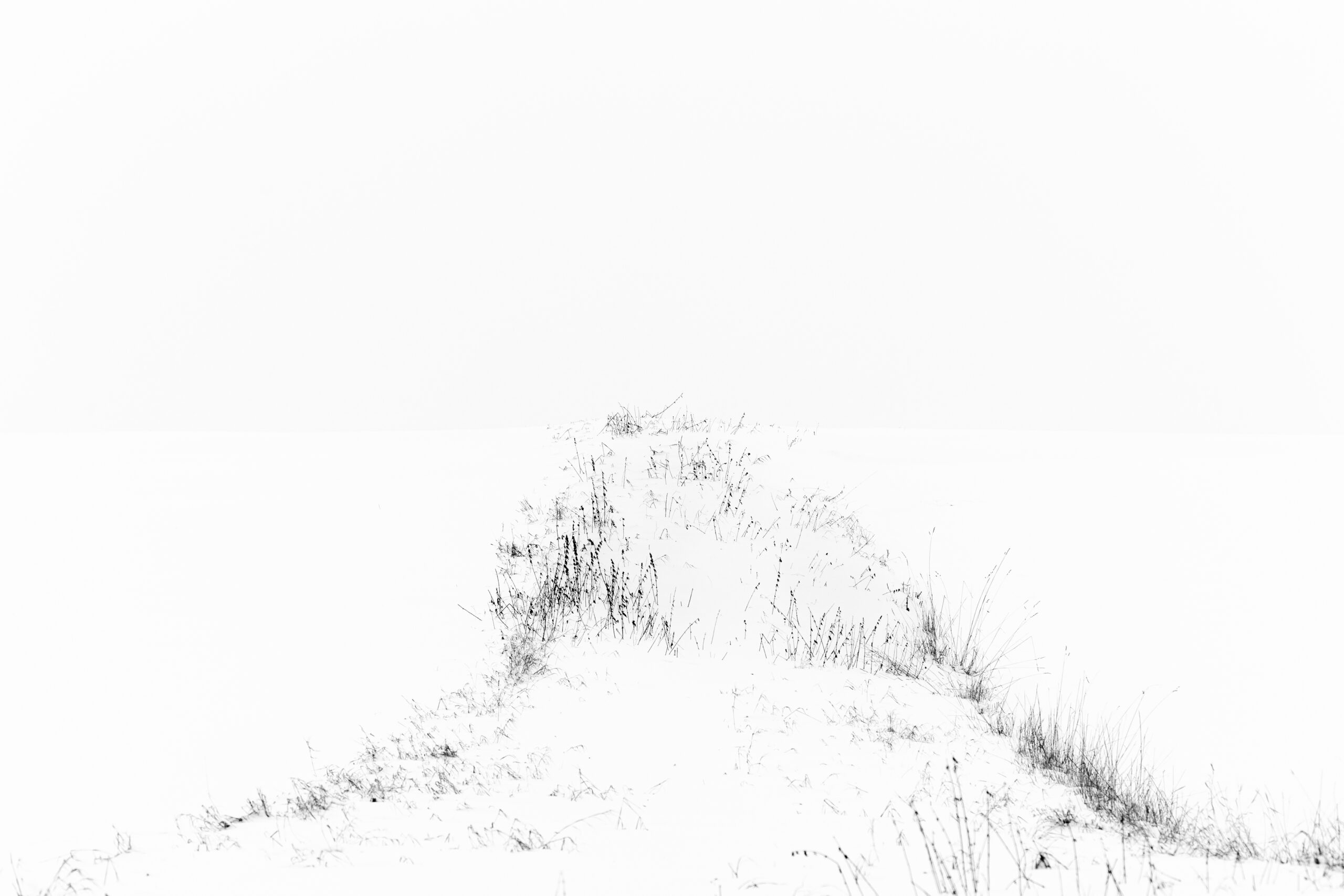 Minimalismus im Winter