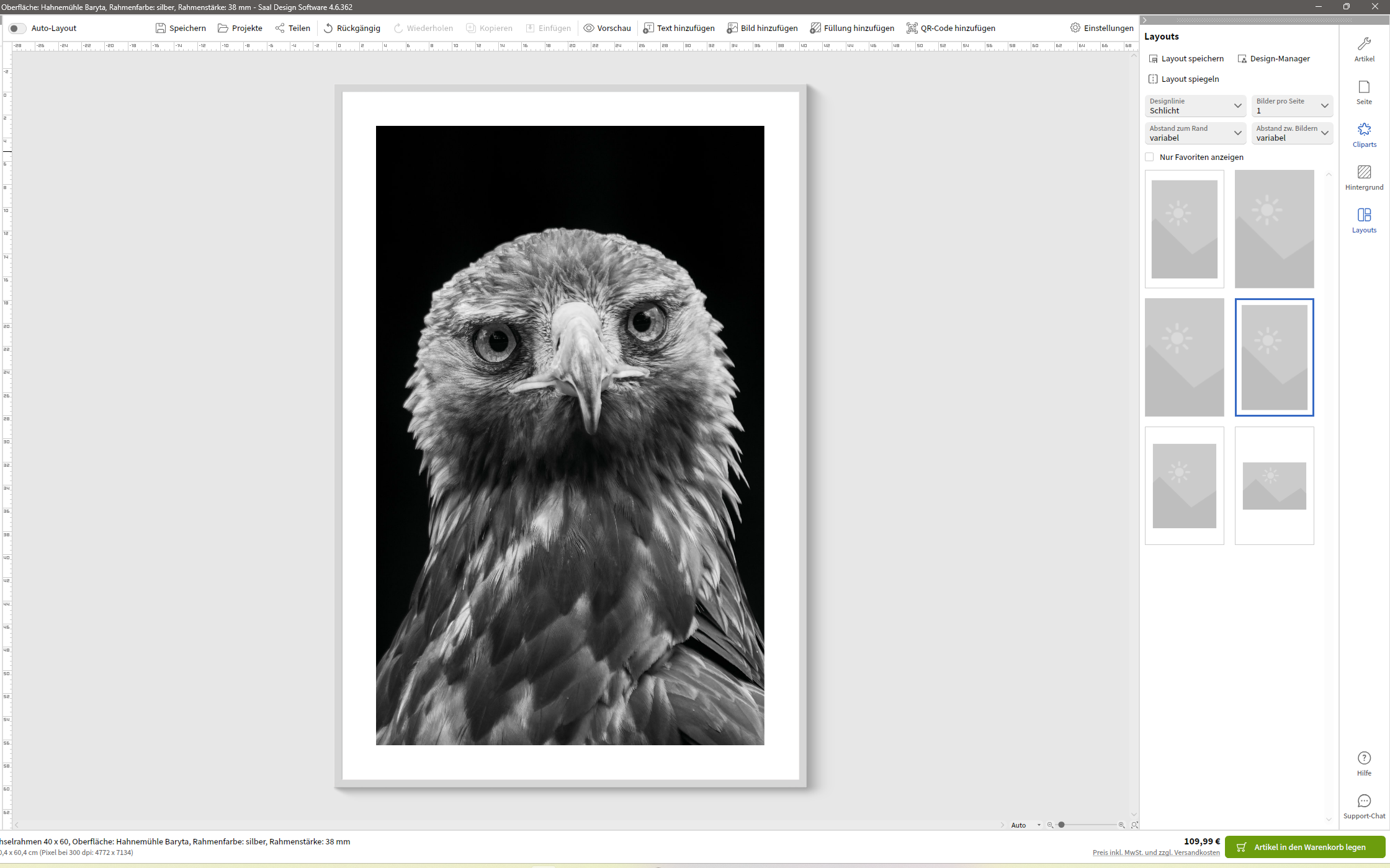 Vorschau eines Adlerportraits im Wechselrahmen im Saal Digital Designer