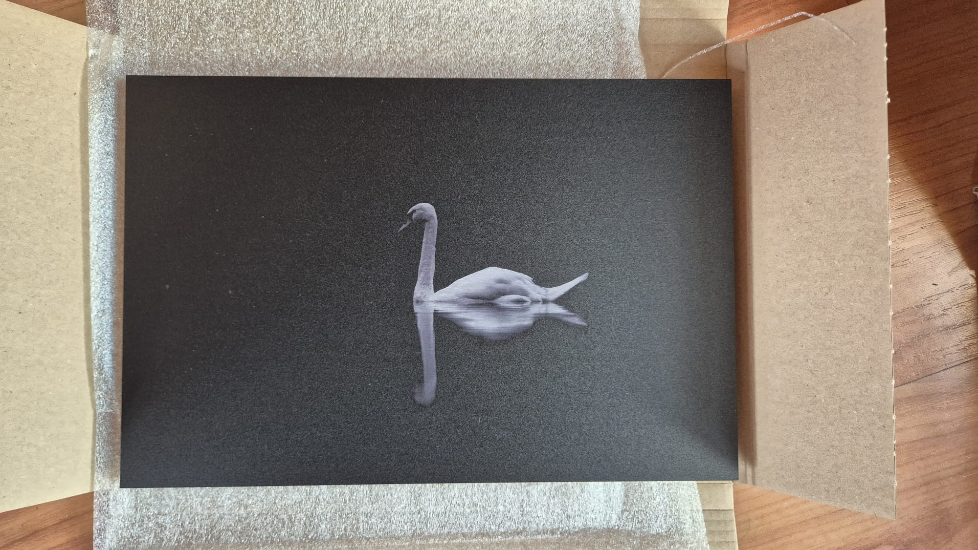 Minimalistische Schwanenfotografie als Wandbild auf Alu gebürstet