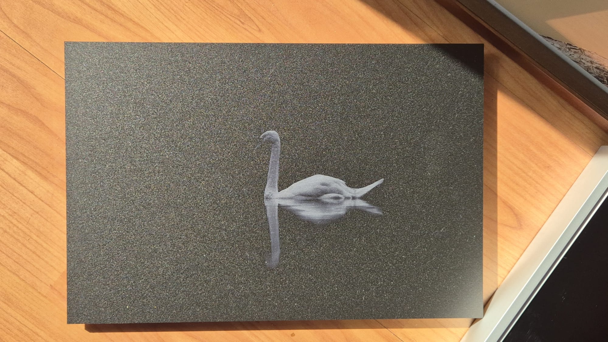 Minimalistische Schwanenfotografie als Wandbild auf Alu gebürstet