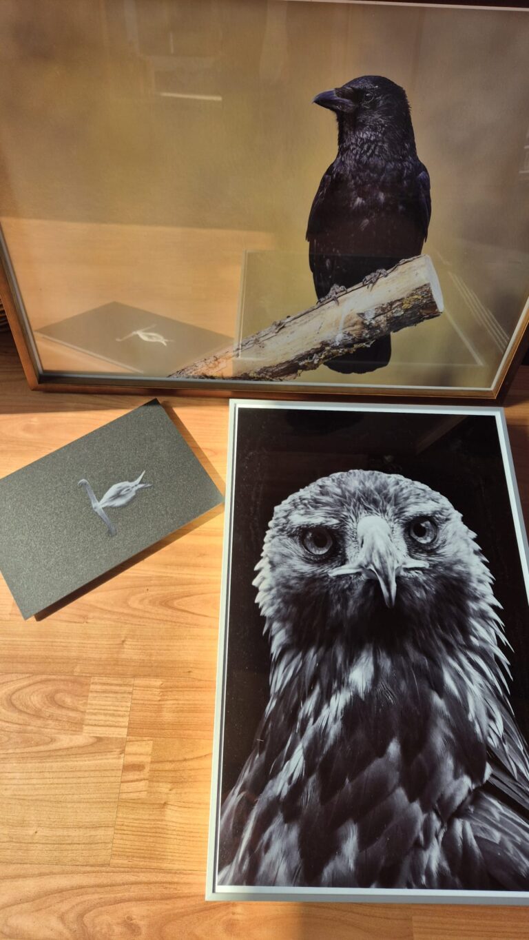 Mehrere fertige Wandbilder mit Naturmotiven nach dem Auspacken