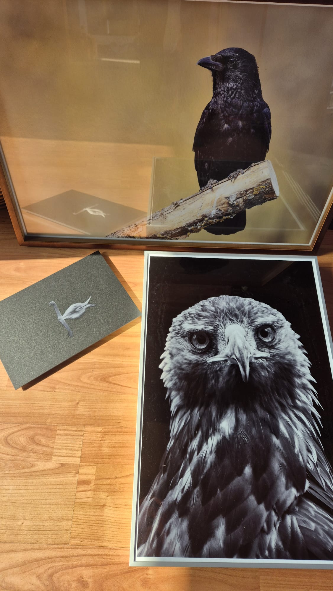 Drei Wandbilder mit Naturfotografien von Nicolette Wollentin nach dem Druck bei Saal Digital
