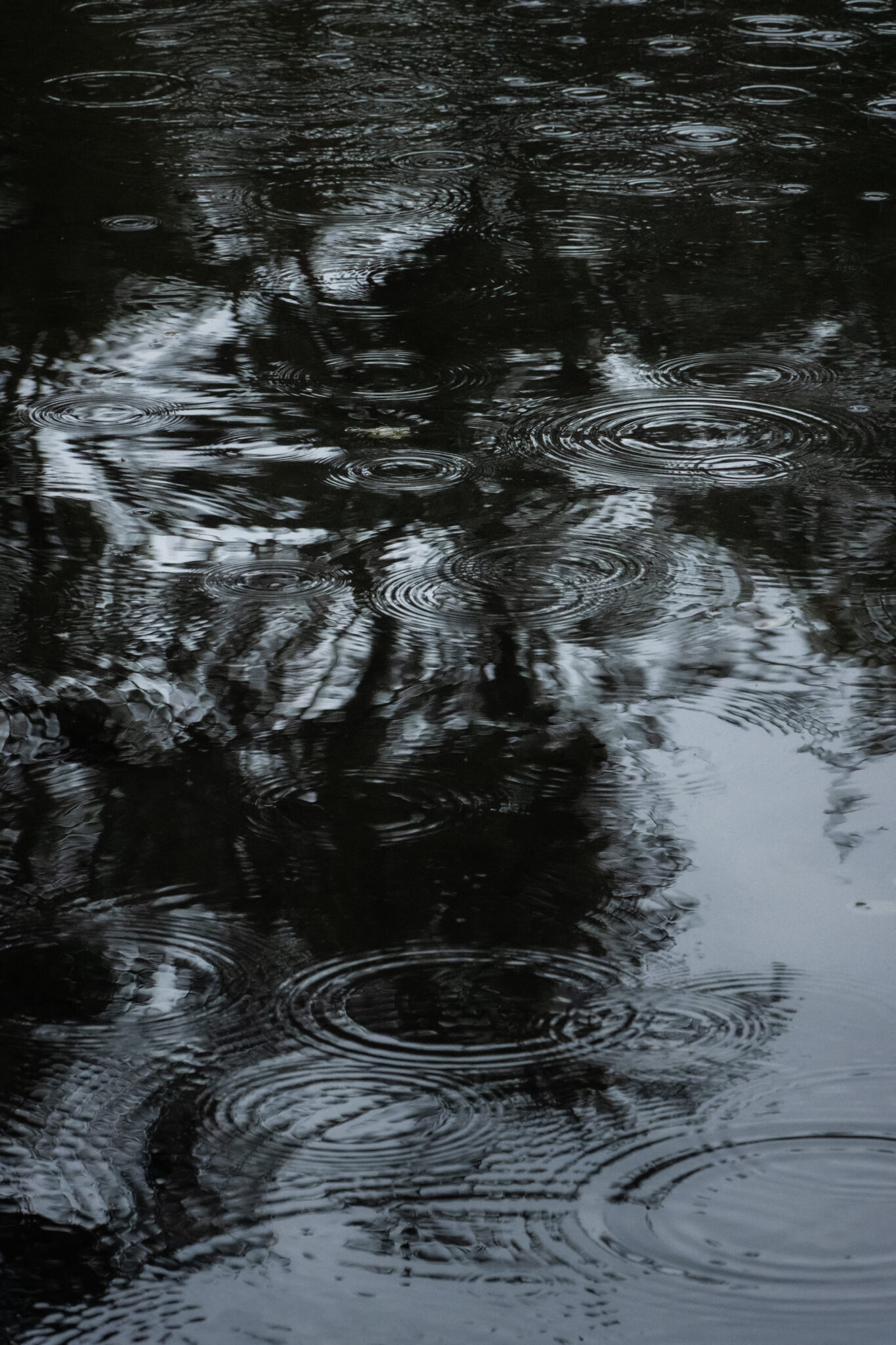Fotografie einer Wasseroberfläche mit zahlreichen konzentrischen Ringen von Regentropfen.