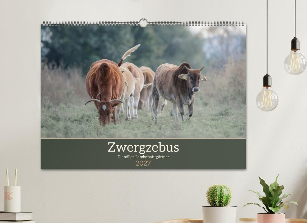 An der Wand hängender Zwergzebu-Kalender mit Tierfotografien von Nicolette Wollentin.