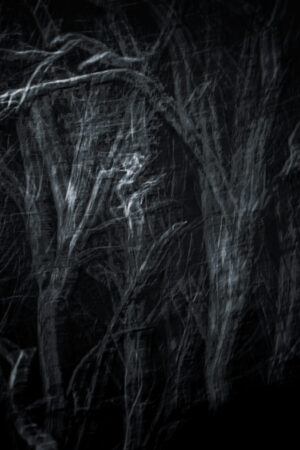 Expressive ICM-Serie im nächtlichen Wald Sehr dynamisches ICM-Bild mit überlagerten Baumstrukturen in Schwarzweiß – abstrakt, intensiv und atmosphärisch.